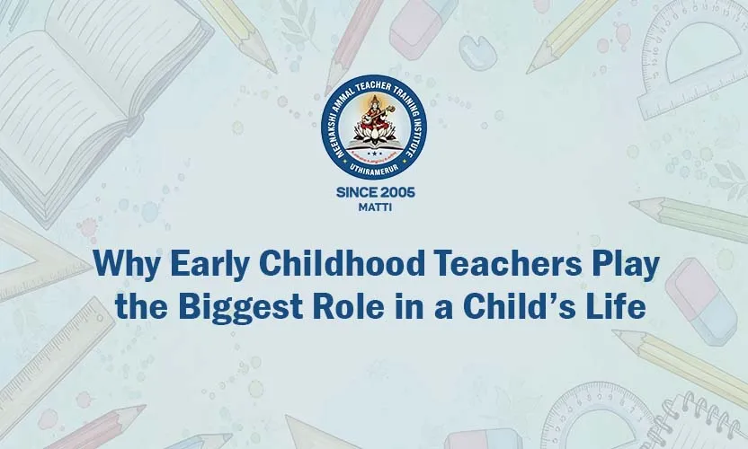 Early Childhood Teacher Role